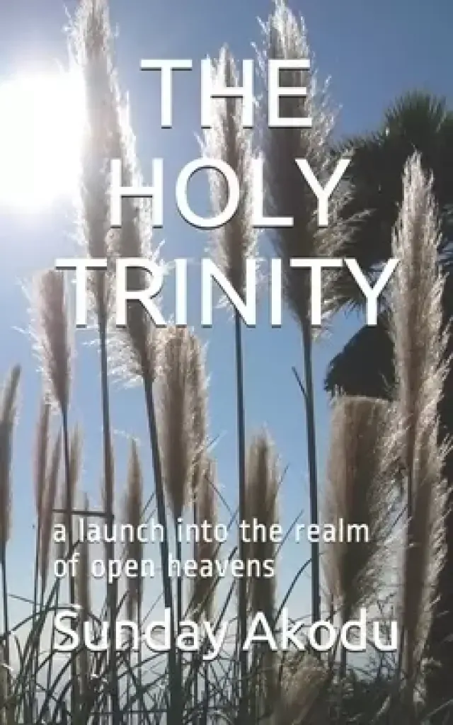 The Holy Trinity: a launch into the realm of open heavens