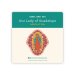 Our Lady of Guadalupe Pin Badge