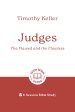 Judges: The Flawed and the Flawless