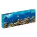 1000 Piece Jigsaw Puzzle Panoramic - Ocean Life