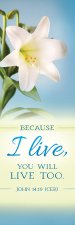 Bookmark-Because I Live/Easter Lilys (John 14:19) (Pack Of 25)