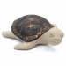 Turtle Ceramic Plant Pot Buddy