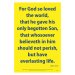 Waterproof Scripture Poster: Jn. 3.16