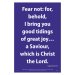 Waterproof Scripture Poster: Lu. 2.10-11