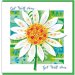 Get well daisy Greetings Card