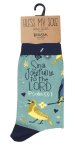 Song Birds Socks