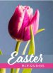 Tulip Easter Blessings Cards - Pack of 4