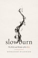 Slow Burn