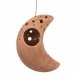 Moon Ceramic Air Plant Hanger