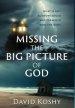 Missing The Big Picture Of God: What Is Not Acknowledged And Preached From The Bible