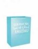 Gift Bag-Value-God Made You...Psalm 139:14-Light Baby Blue-Large