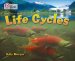 Life Cycles