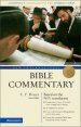 New International Bible Commentary