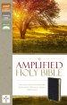 Amplified Thinline Holy Bible: Black, Bonded Leather