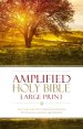 Amplified Bible, Brown, Hardback, Large Print, Footnotes, Book Introductions, Bibliography, Glossary, Devotional Insights