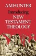 Introducing New Testament Theology