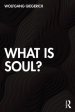 What Is Soul?