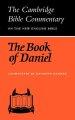 Book Of Daniel