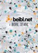 Beibl.net (Welsh Youth Bible)