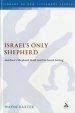 Israel's Only Shepherd