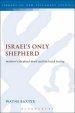 Israel's Only Shepherd