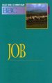 Basic Bible Commentary Job Volume 9