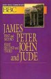  James, 1 & 2 Peter, 1 2 & 3 John and Jude : Basic Bible Commentary