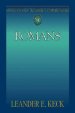 Romans : Abingdon New Testament Commentary