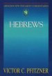 Hebrews : Abingdon New Testament Commentary