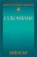 Colossians : Abingdon New Testament Commentary