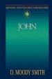 Abingdon New Testament Commentary - John