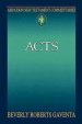 Abingdon New Testament Commentaries - Acts