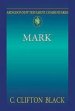 Mark : Abingdon New Testament Commentary