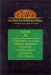 The New Interpreter's Bible : Vol 11 : 2 Corinthians - Philemon