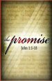 The Promise: The Secret Revealed