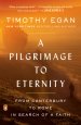 A Pilgrimage to Eternity: From Canterbury to Rome in Search of a Faith