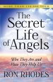 Secret Life of Angels