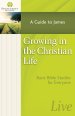 Growing in the Christian Life [eBook]