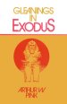 Exodus : Gleanings Series