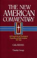 Galatians : Vol 30 : New American Commentary) 