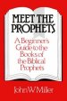 Meet the Prophets : Beginners Guide to the Books of the Biblical Prophets