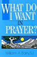 What Do I Want in Prayer?