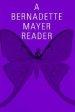 A Bernadette Mayer Reader