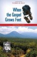 When the Gospel Grows Feet: Rutilio Grande, SJ, and the Church of El Salvador: An Ecclesiology in Context