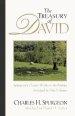 Psalms : Treasury of David 