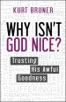 Why isn't God Nice?