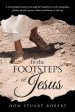 The In the Footsteps of Jesus: A Chronological Journey Through the Gospels Set in the Geography, Politics, People, Power, Culture and History of