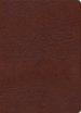 KJV Study Bible, Full-Color, Brown Bonded Leather, Indexed