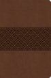 CSB Everyday Study Bible, Brown Burnished, Global