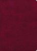 CSB Holy Land Illustrated Bible, Burgundy LeatherTouch, Indexed